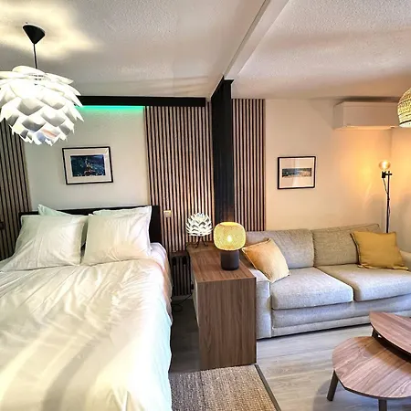 Beausoleilmonaco Terrasse Vue Clim Et Acces Piscine 아파트